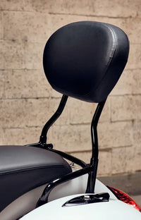 Indian Passenger Backrest Pad Only 2879666-VBA