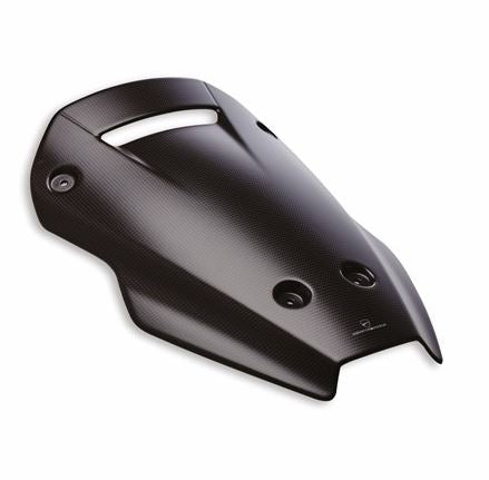 Carbon headlight fairing.