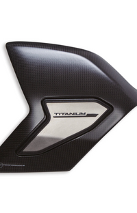Streetfighter Carbon And Titanium Swinging Arm Cover