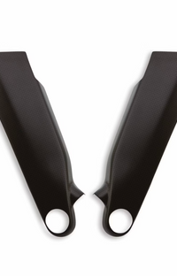 Streetfighter Carbon Frame Cover