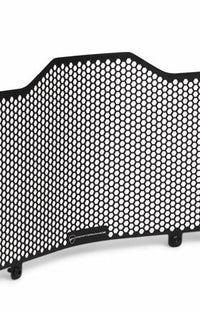 Protective mesh for water radiator.
