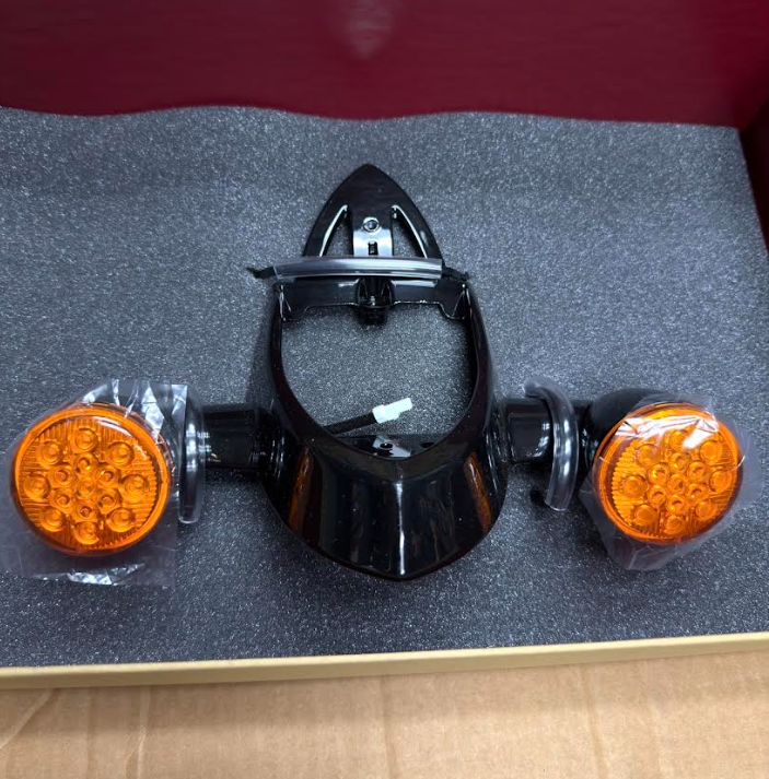 NEW OEM Indian Rear Light Assembly Gloss Black 2880664-266