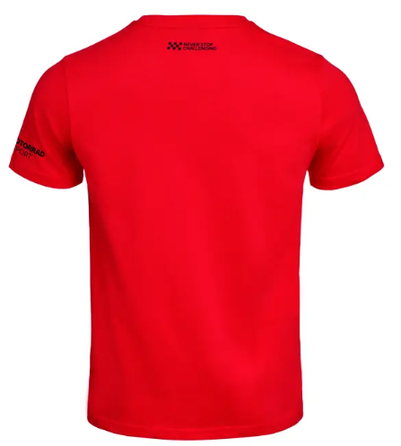 NEW BMW Motorrad Men's S1000RR T-Shirt Red Medium 76615B67602