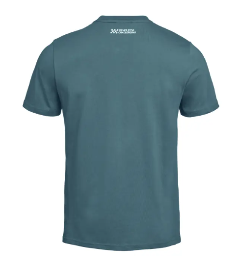 NEW BMW Motorrad Men's RR T-Shirt Grey Large 100% Cotton 76615B67609