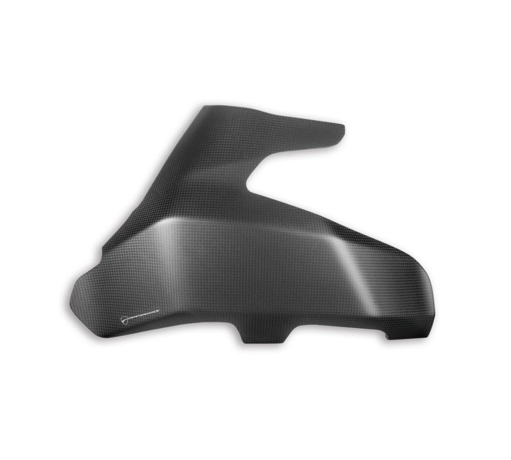SuperSport Carbon Swingarm Guard